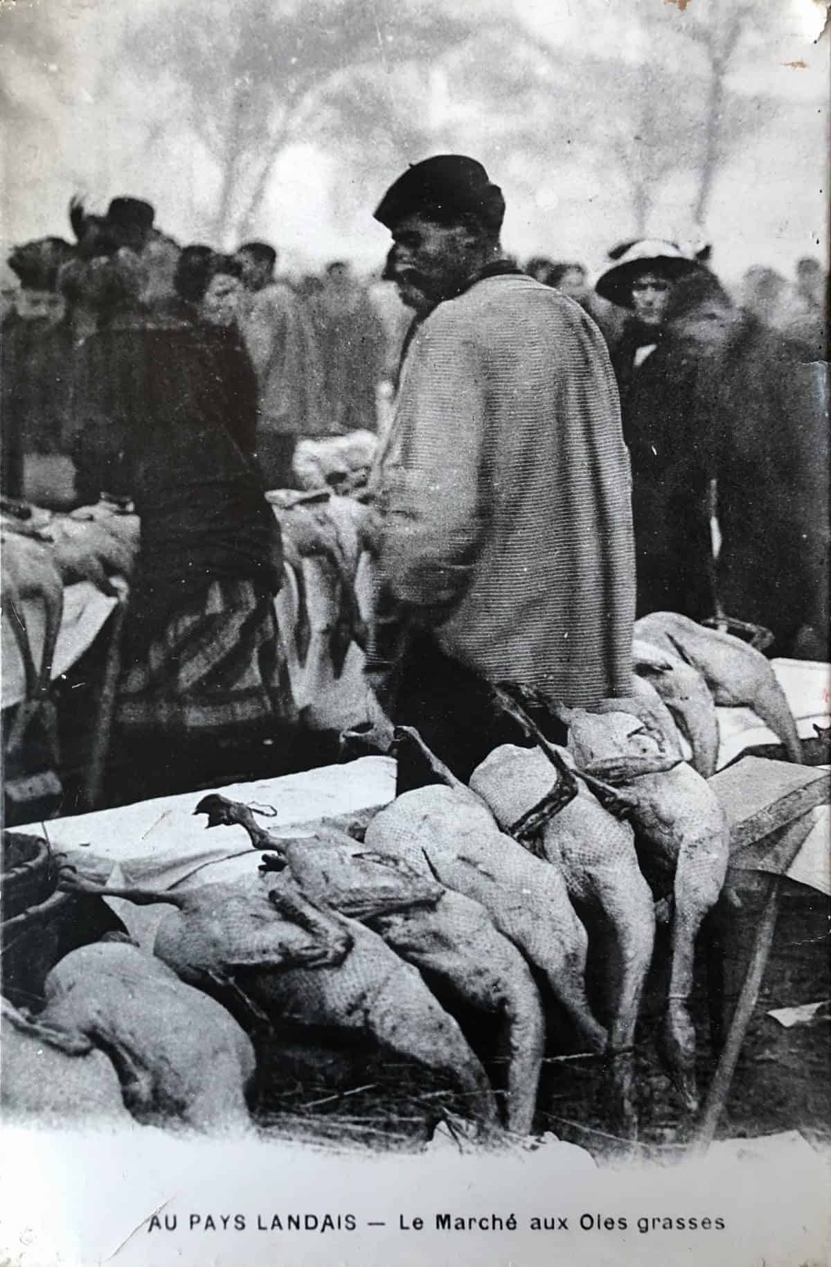 Marchés aux gras