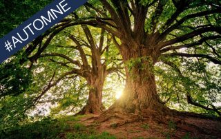 Automne & cuisine