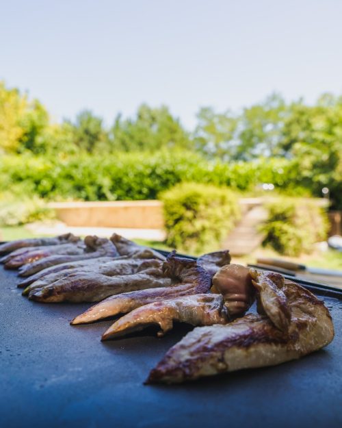 Aguillettes de Canard cuites à la plancha